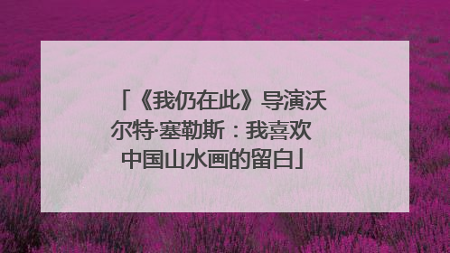 《我仍在此》导演沃尔特·塞勒斯：我喜欢中国山水画的留白