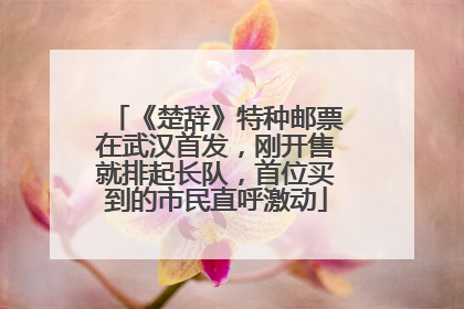 《楚辞》特种邮票在武汉首发，刚开售就排起长队，首位买到的市民直呼激动