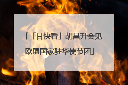 「甘快看」胡昌升会见欧盟国家驻华使节团