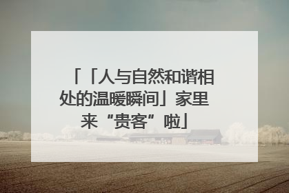 「人与自然和谐相处的温暖瞬间」家里来“贵客”啦