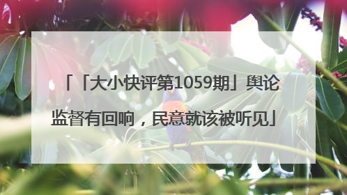 「大小快评第1059期」舆论监督有回响，民意就该被听见
