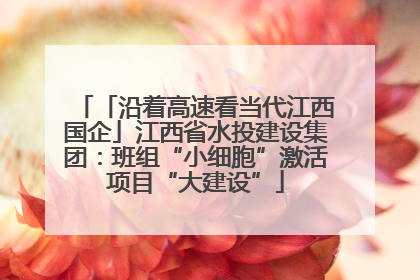 「沿着高速看当代江西国企」江西省水投建设集团：班组“小细胞”激活项目“大建设”