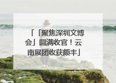 「聚焦深圳文博会」圆满收官！云南展团收获颇丰