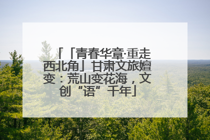 「青春华章·重走西北角」甘肃文旅嬗变：荒山变花海，文创“语”千年