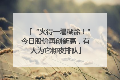 “火得一塌糊涂！”今日股价再创新高，有人为它彻夜排队