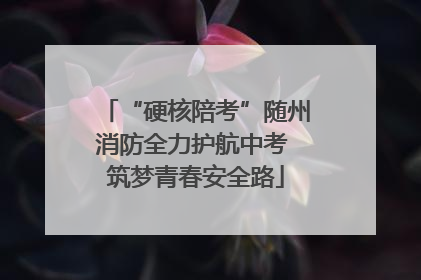 “硬核陪考”随州消防全力护航中考 筑梦青春安全路