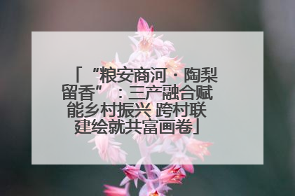 “粮安商河・陶梨留香”：三产融合赋能乡村振兴 跨村联建绘就共富画卷