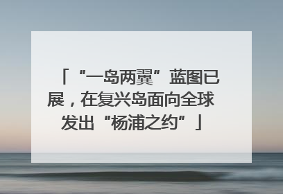 “一岛两翼”蓝图已展，在复兴岛面向全球发出“杨浦之约”