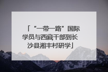 “一带一路”国际学员与西藏干部到长沙县湘丰村研学