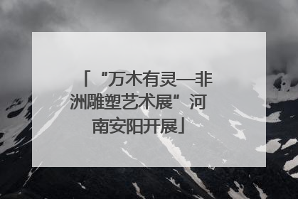 “万木有灵—非洲雕塑艺术展”河南安阳开展