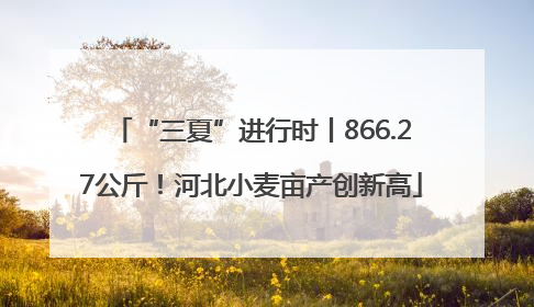 “三夏”进行时丨866.27公斤！河北小麦亩产创新高