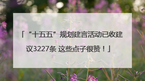 “十五五”规划建言活动已收建议3227条 这些点子很赞！