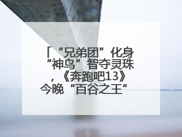 “兄弟团”化身“神鸟”智夺灵珠，《奔跑吧13》今晚“百谷之王”花落谁家？