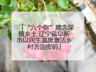 “六个你”理念深植乡土 辽宁省阜新市以民生温度激活乡村善治密码