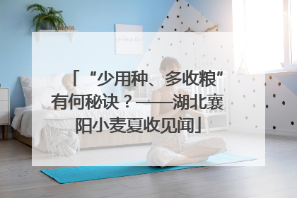 “少用种、多收粮”有何秘诀？——湖北襄阳小麦夏收见闻