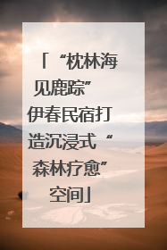 “枕林海见鹿踪” 伊春民宿打造沉浸式“森林疗愈”空间