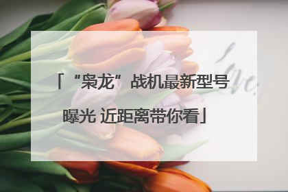 “枭龙”战机最新型号曝光 近距离带你看