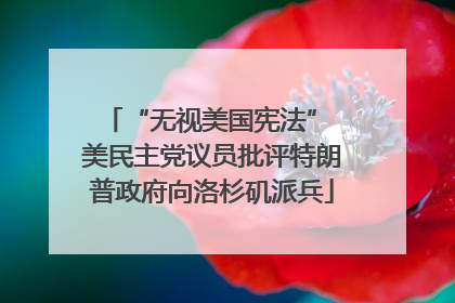“无视美国宪法” 美民主党议员批评特朗普政府向洛杉矶派兵