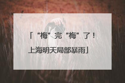 “梅”完“梅”了！上海明天局部暴雨