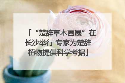 “楚辞草木画展”在长沙举行 专家为楚辞植物提供科学考据
