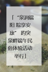 “泉润端阳 粽享安康” 趵突泉畔端午民俗体验活动举行