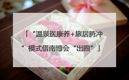 “温泉医康养+旅居腾冲”模式借南博会“出圈”