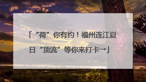 “荷”你有约！福州连江夏日“顶流”等你来打卡→