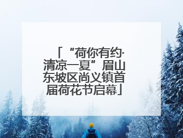 “荷你有约·清凉一夏”眉山东坡区尚义镇首届荷花节启幕