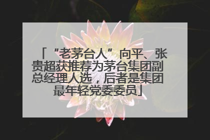 “老茅台人”向平、张贵超获推荐为茅台集团副总经理人选，后者是集团最年轻党委委员