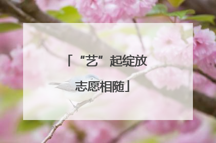 “艺”起绽放 志愿相随