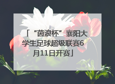 “茵浪杯”襄阳大学生足球超级联赛6月11日开赛