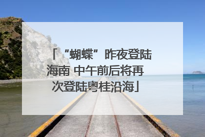 “蝴蝶”昨夜登陆海南 中午前后将再次登陆粤桂沿海