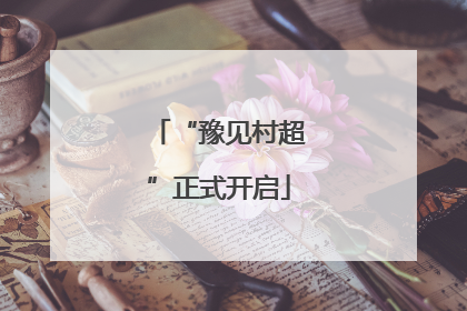 “豫见村超”正式开启