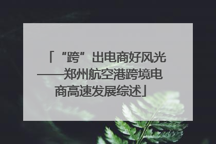 “跨”出电商好风光——郑州航空港跨境电商高速发展综述