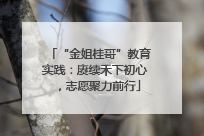 “金姐桂哥”教育实践：赓续禾下初心，志愿聚力前行
