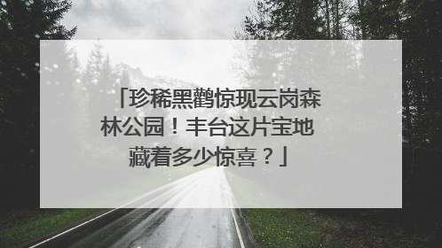珍稀黑鹳惊现云岗森林公园！丰台这片宝地藏着多少惊喜？