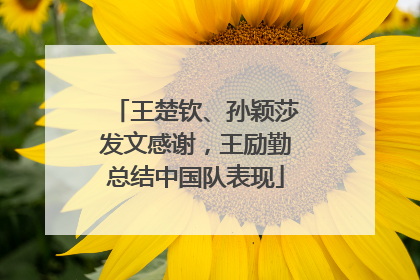 王楚钦、孙颖莎发文感谢，王励勤总结中国队表现
