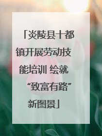 炎陵县十都镇开展劳动技能培训 绘就“致富有路”新图景