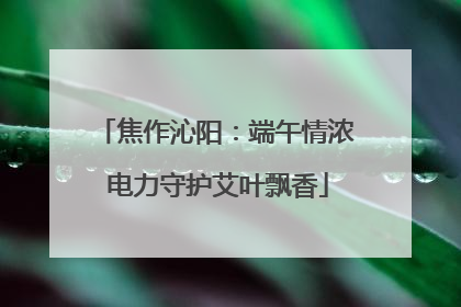 焦作沁阳：端午情浓 电力守护艾叶飘香