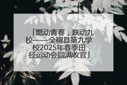 燃动青春，跃动九校——全椒县第九学校2025年春季田径运动会圆满收官