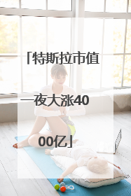 特斯拉市值一夜大涨4000亿