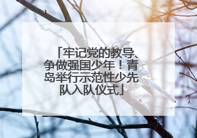 牢记党的教导、争做强国少年！青岛举行示范性少先队入队仪式