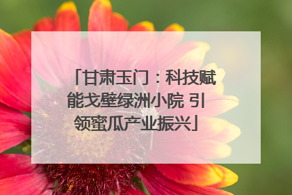 甘肃玉门：科技赋能戈壁绿洲小院 引领蜜瓜产业振兴
