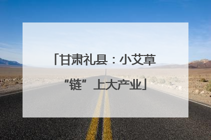 甘肃礼县：小艾草“链”上大产业