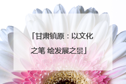 甘肃镇原：以文化之笔 绘发展之景