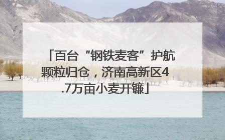 百台“钢铁麦客”护航颗粒归仓，济南高新区4.7万亩小麦开镰