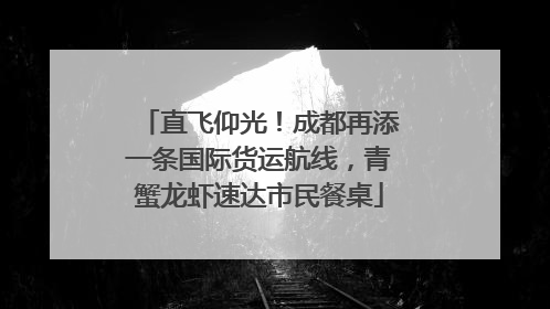 直飞仰光！成都再添一条国际货运航线，青蟹龙虾速达市民餐桌