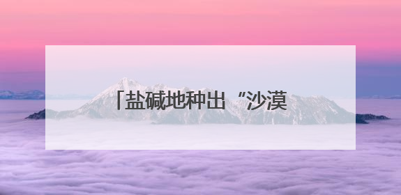 盐碱地种出“沙漠人参” 潍坊滨海解锁生态致富密码