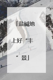 盐碱地上好“丰”景