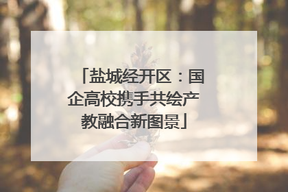 盐城经开区：国企高校携手共绘产教融合新图景